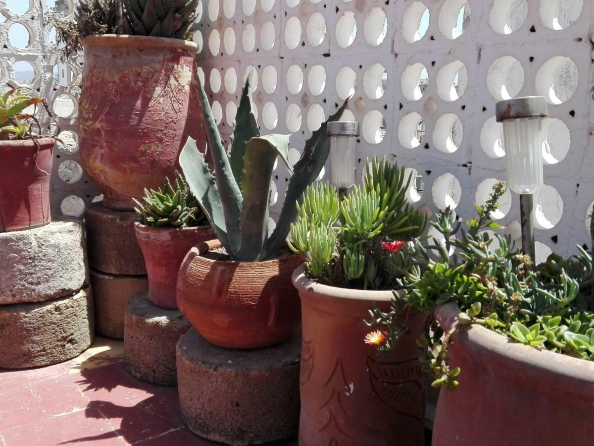 Dar El Paco Bed & Breakfast Essaouira Exterior photo